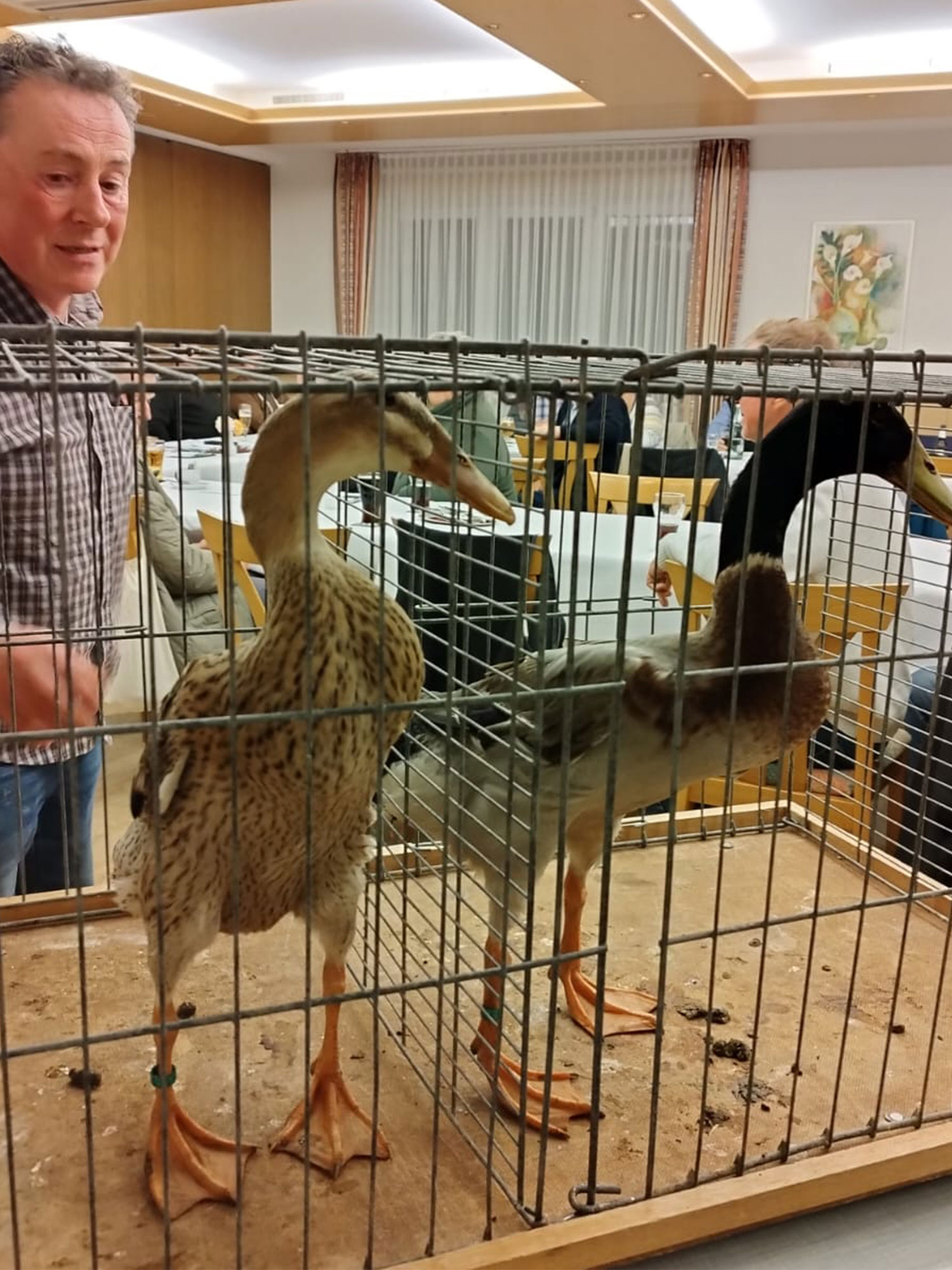 Rückblick Monatsversammlung November 2025